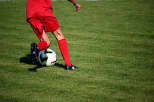 ayx体育-国足全队传球节奏同步评分系统,国足传球进自己球门