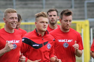 爱游戏娱乐网址-德甲球队构建战术模拟平台辅助赛中调整,德甲模式